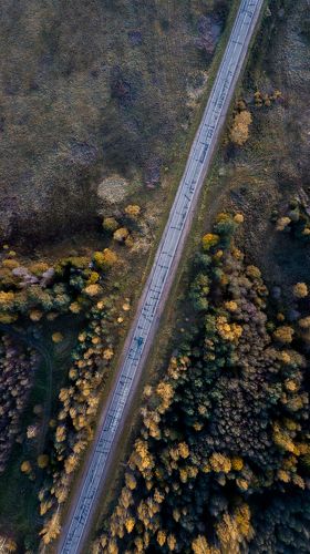 Сквозь осень