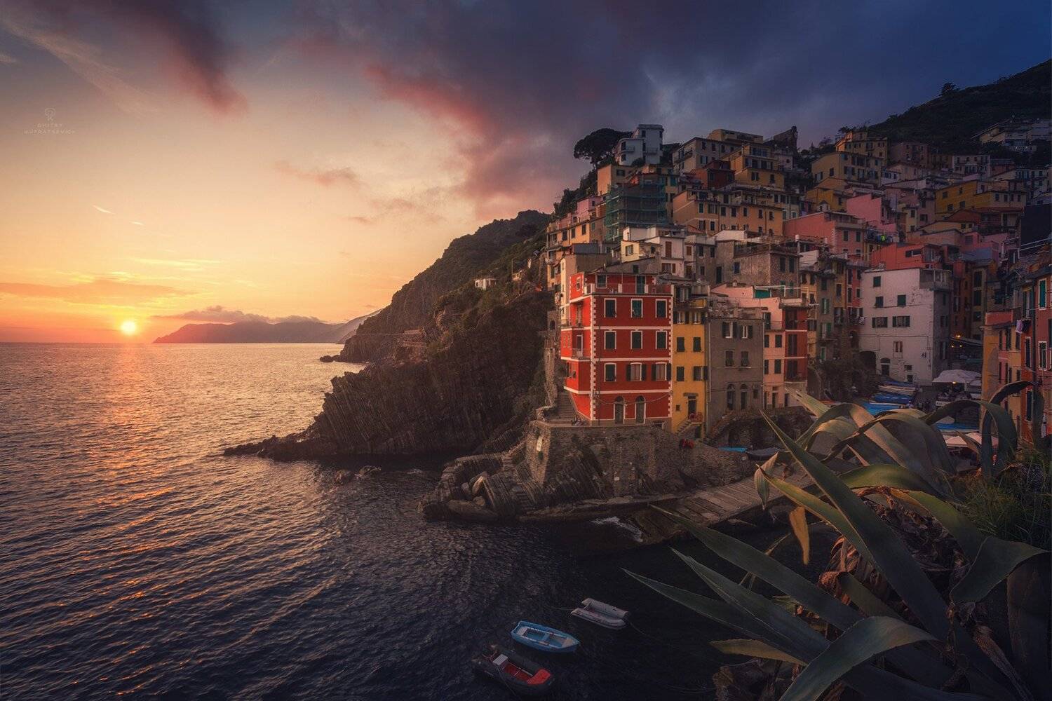 , Дмитрий Купрацевич