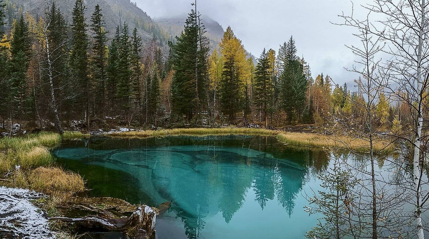 Гейзерное озеро, Алтай , природа, пейзаж, , Лариса Николаевна Дука