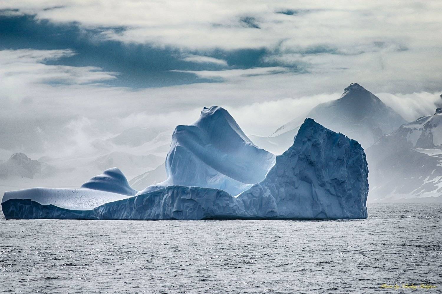, Николай Шелепов
