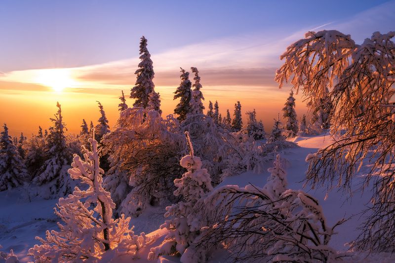 ******* фото превью