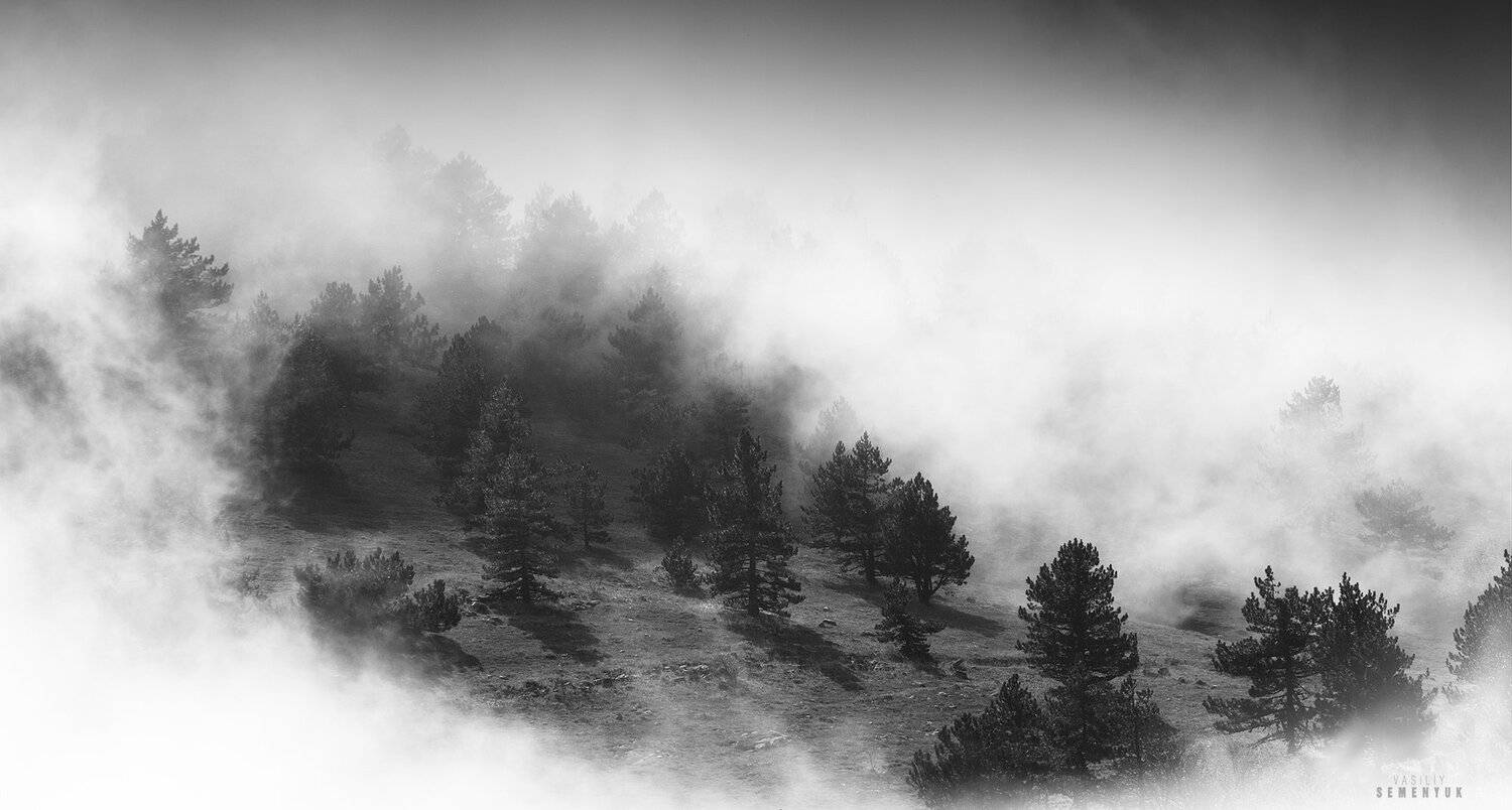 крым, ай-петри, горы, туман, лес, пейзаж, минимализм, ч/б, landscape, b/w, mountain, crimea, minimalism., Семенюк Василий