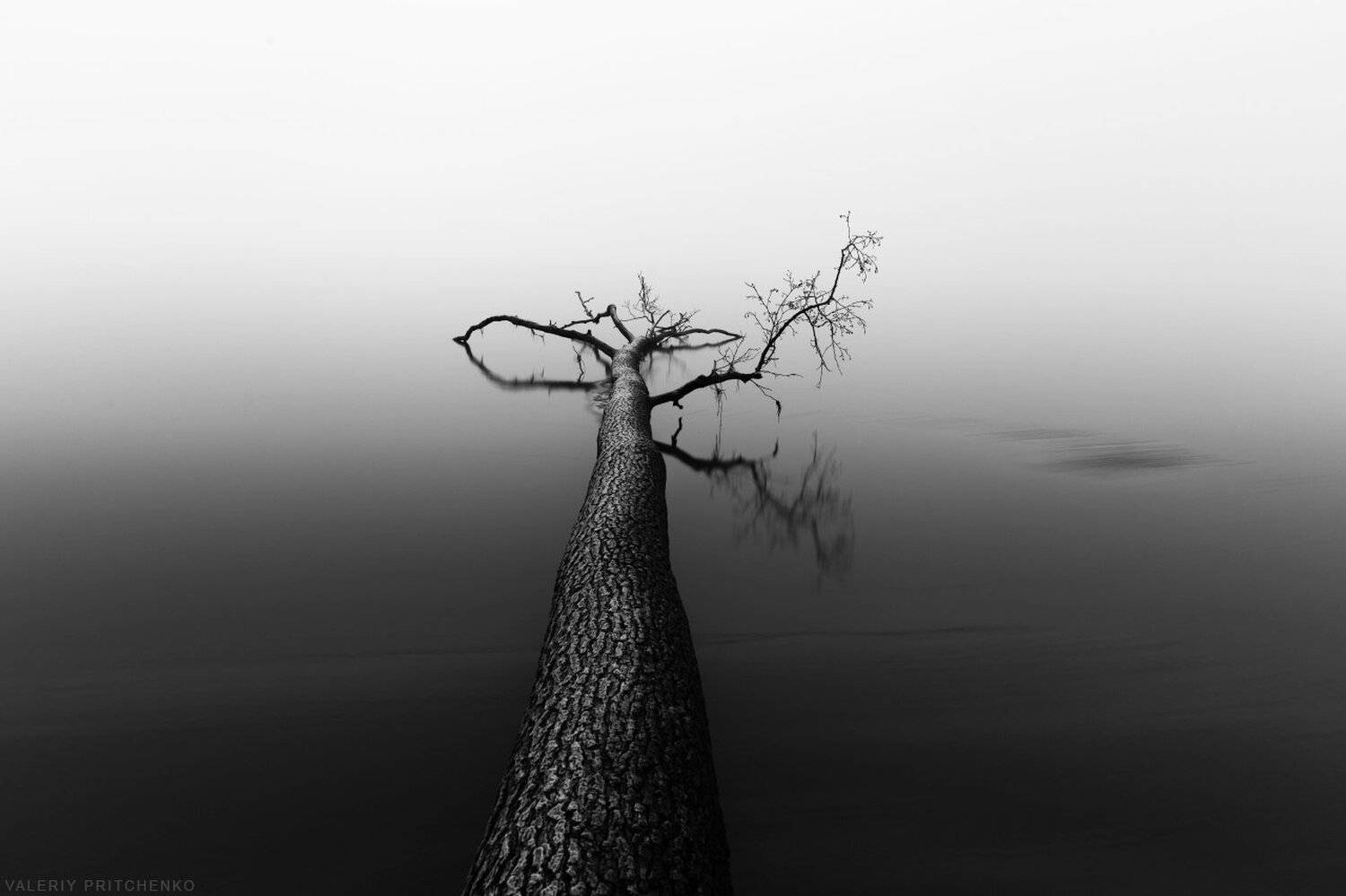 природа, пейзаж, осень, туман, landscape, nature, Валерий Притченко