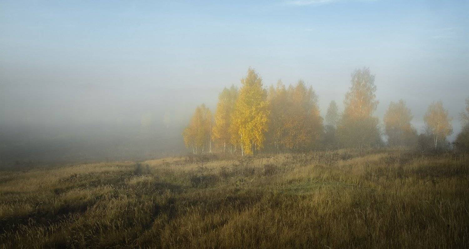 , Анатолий Зверев
