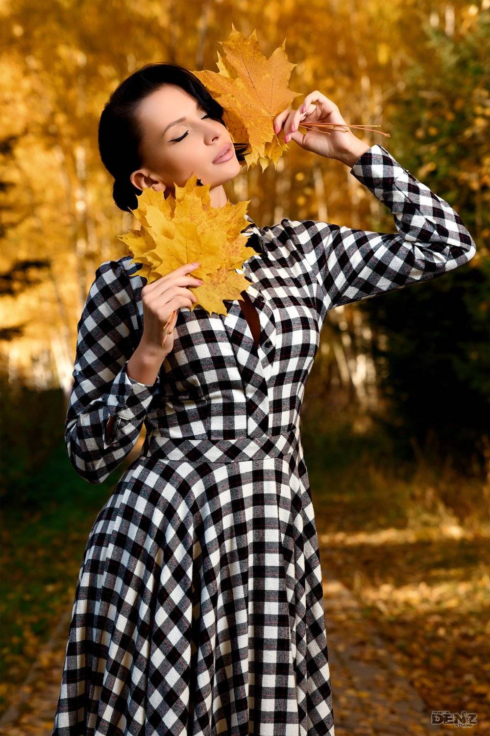 , Денис Вершинин