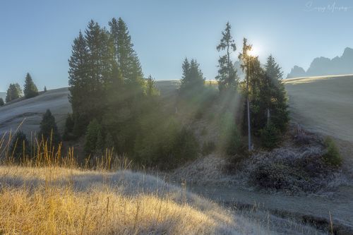 Frost & sunlight. Dolomites.