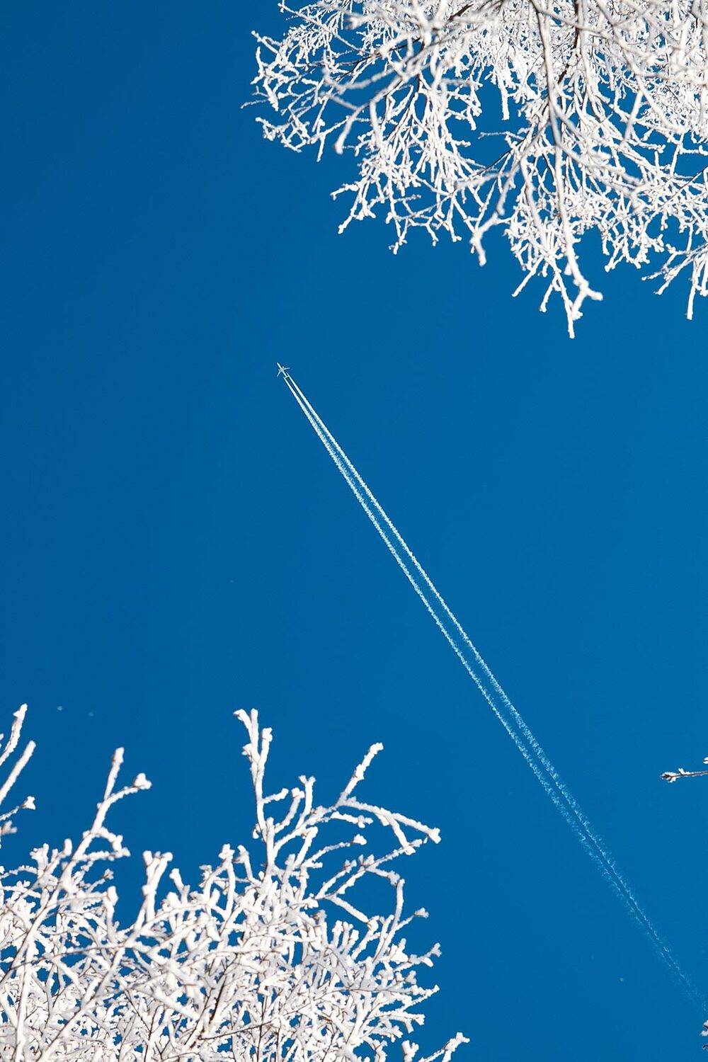 , Александр