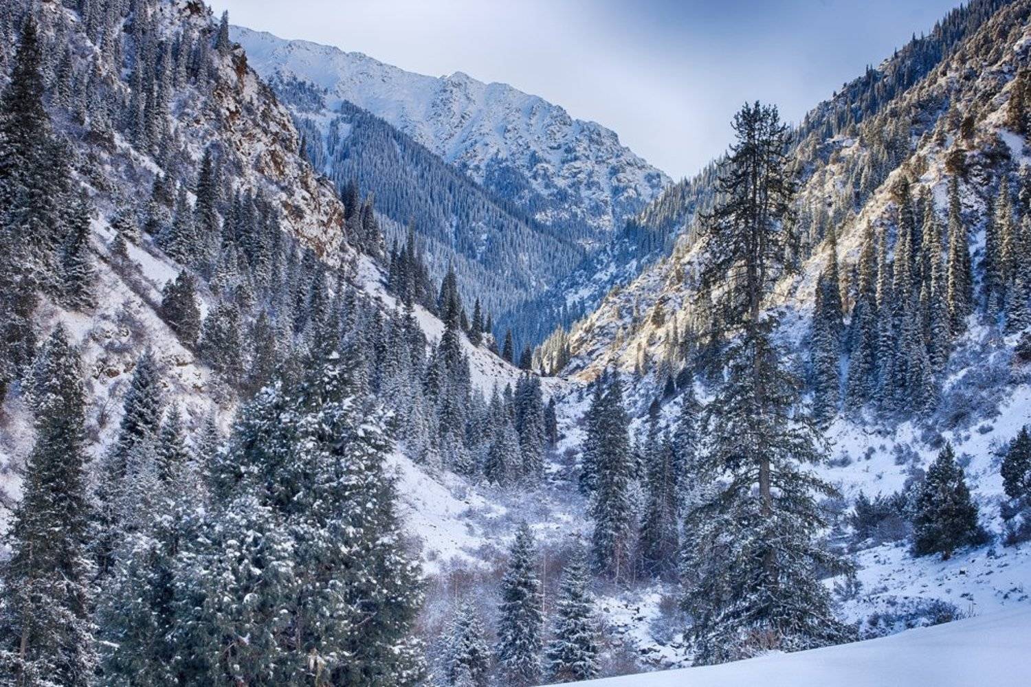 кыргызстан, горы, Элина Магалимова