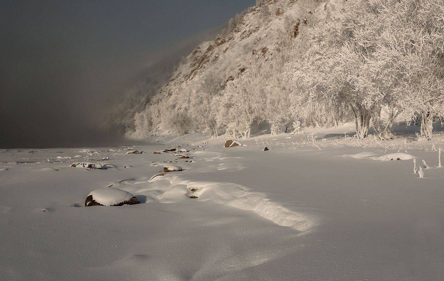 , Марина Фомина