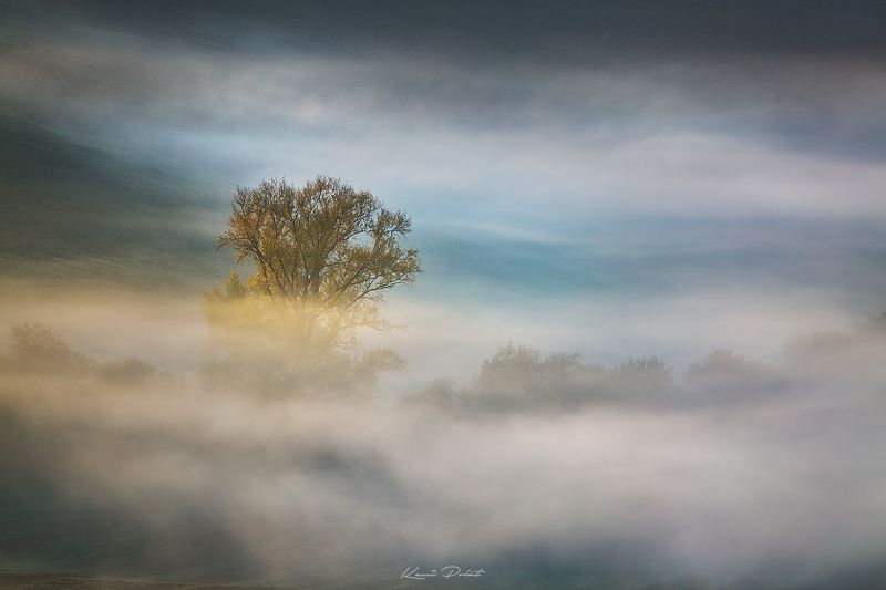 Moravian dream фото превью