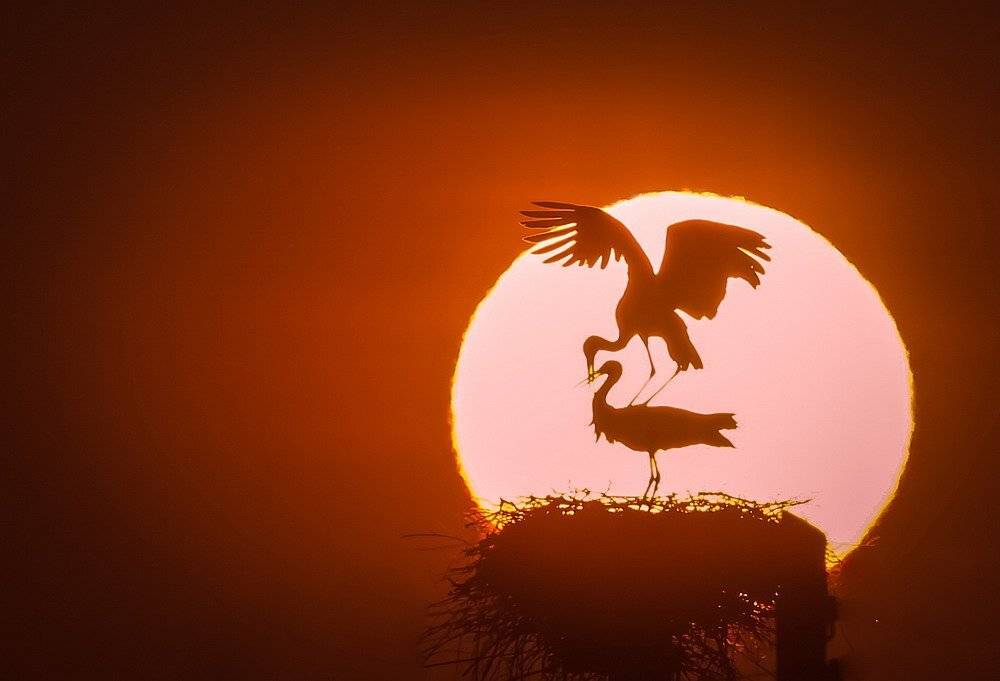 , Вячеслав Мищенко