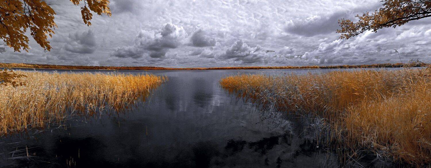infrared,ик-фото,инфракрасное фото,инфракрасная фотография,пейзаж,природа,беларусь,лето, Sixten ( Сергей )