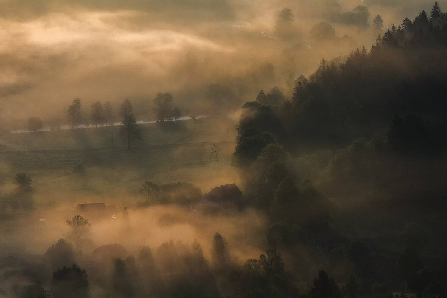 Season of Mists II. Автор: Iza i Darek Mitręga landscape,canon,mist,light,autumn, Iza i Darek Mitręga