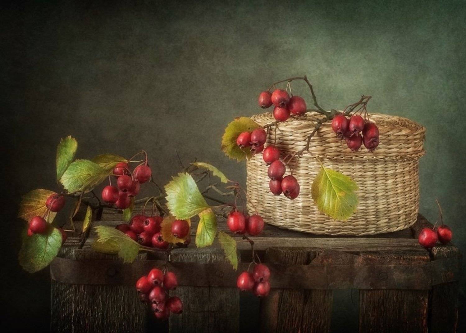 натюрморт,боярышник,осень, Наталия К