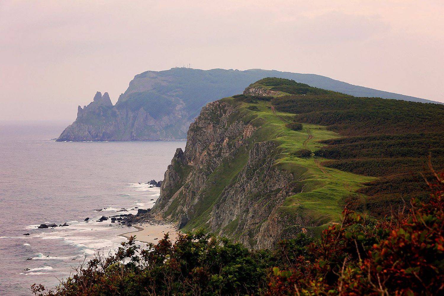 , Дмитрий Рудаков