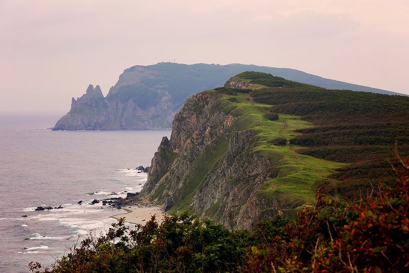 When the wild wind blows фото превью