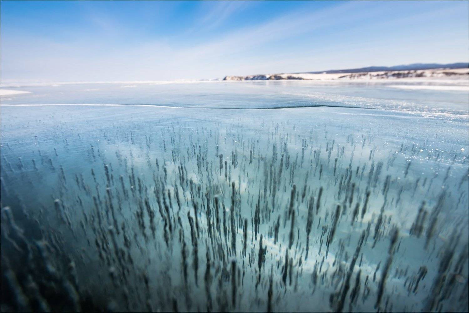 , Кутыгин Эдуард