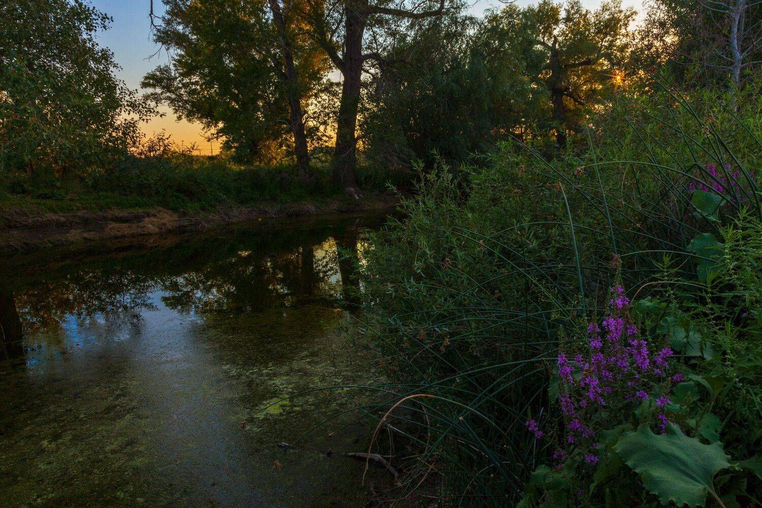 , Марат Кучкаев
