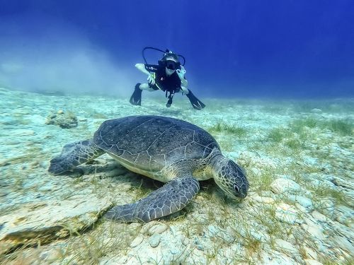 Underwater Freedom