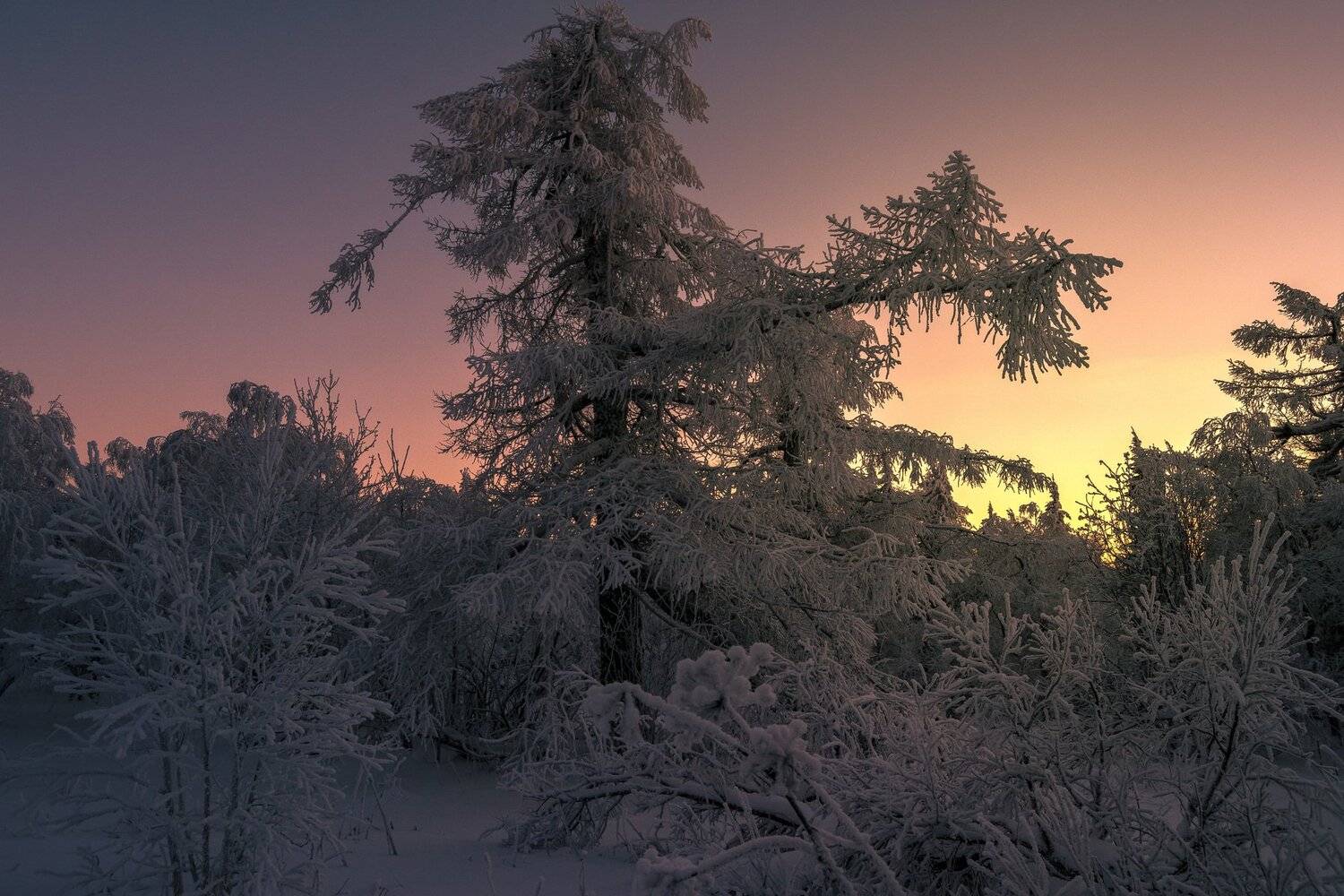 , Андрей Шарапов