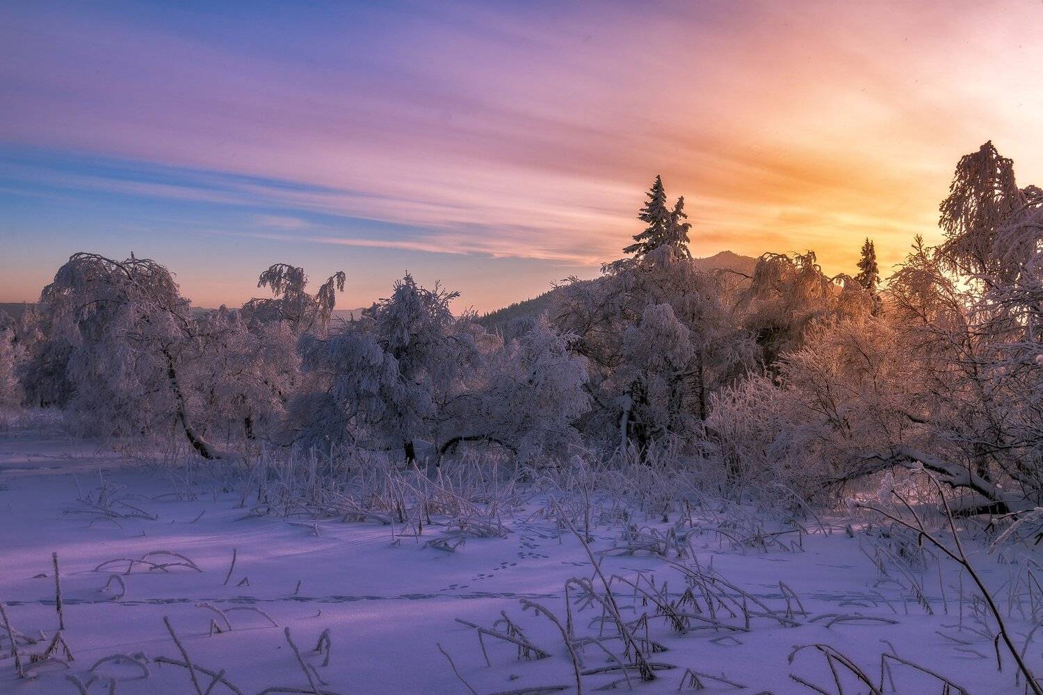 , Андрей Шарапов