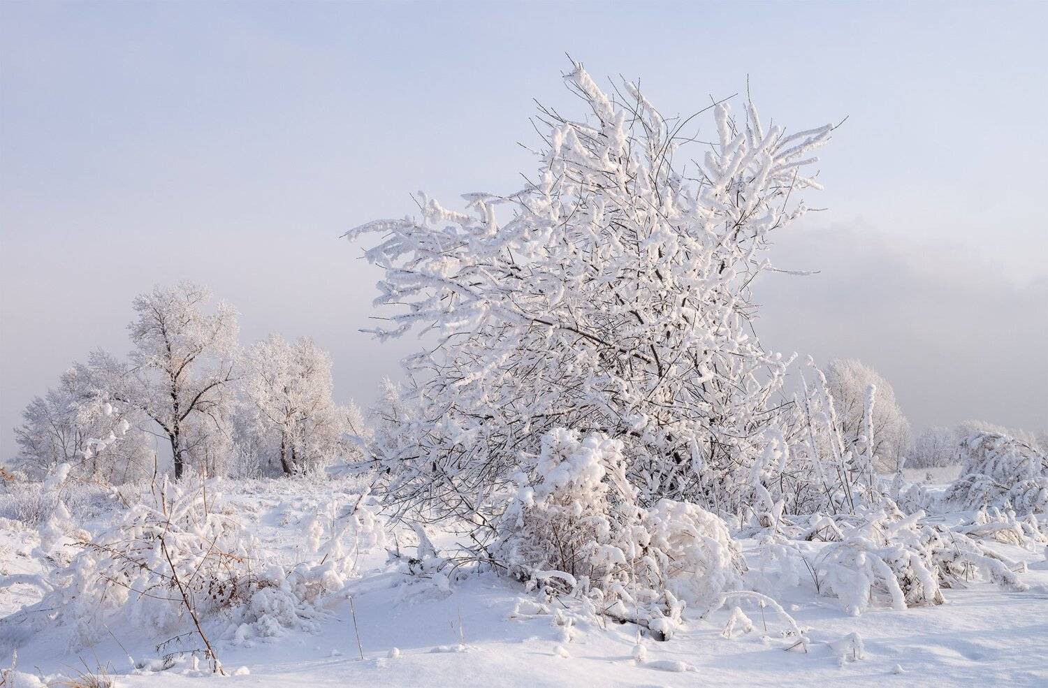 , Лещёнок Александр