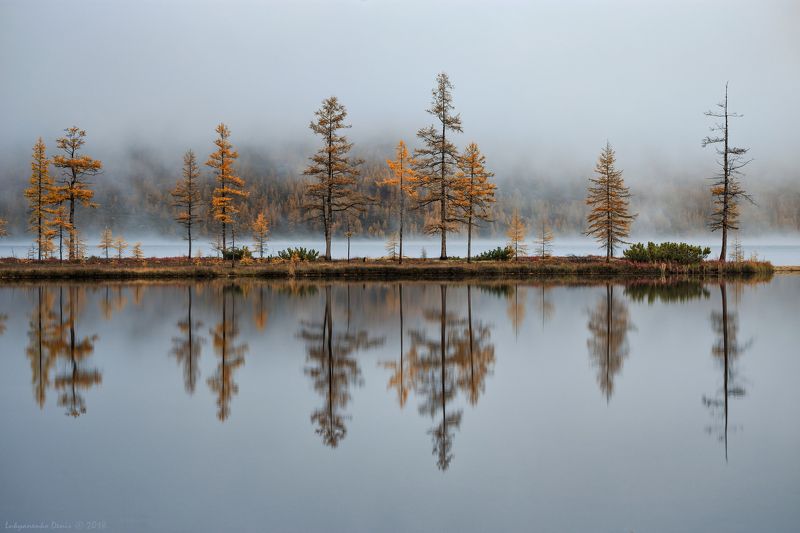 2018, россия, колыма, утро, осень, горы, лиственницы, деревья, туман, отражение В зазеркалье Колымы фото превью