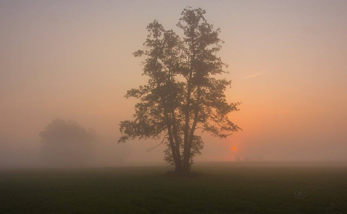 , Pawel Plucinski