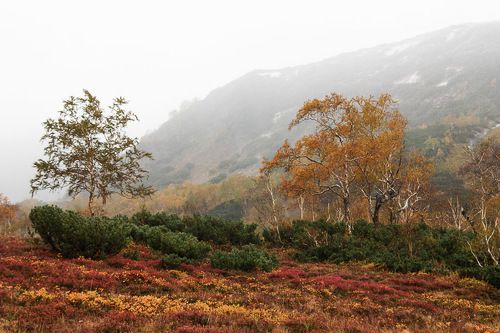 Дождливая осенняя Камчатка