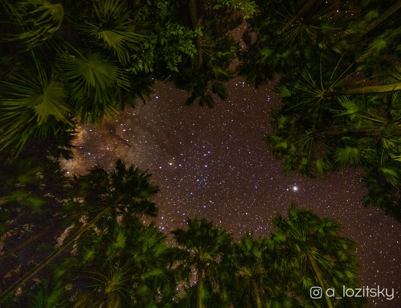 *** фото превью