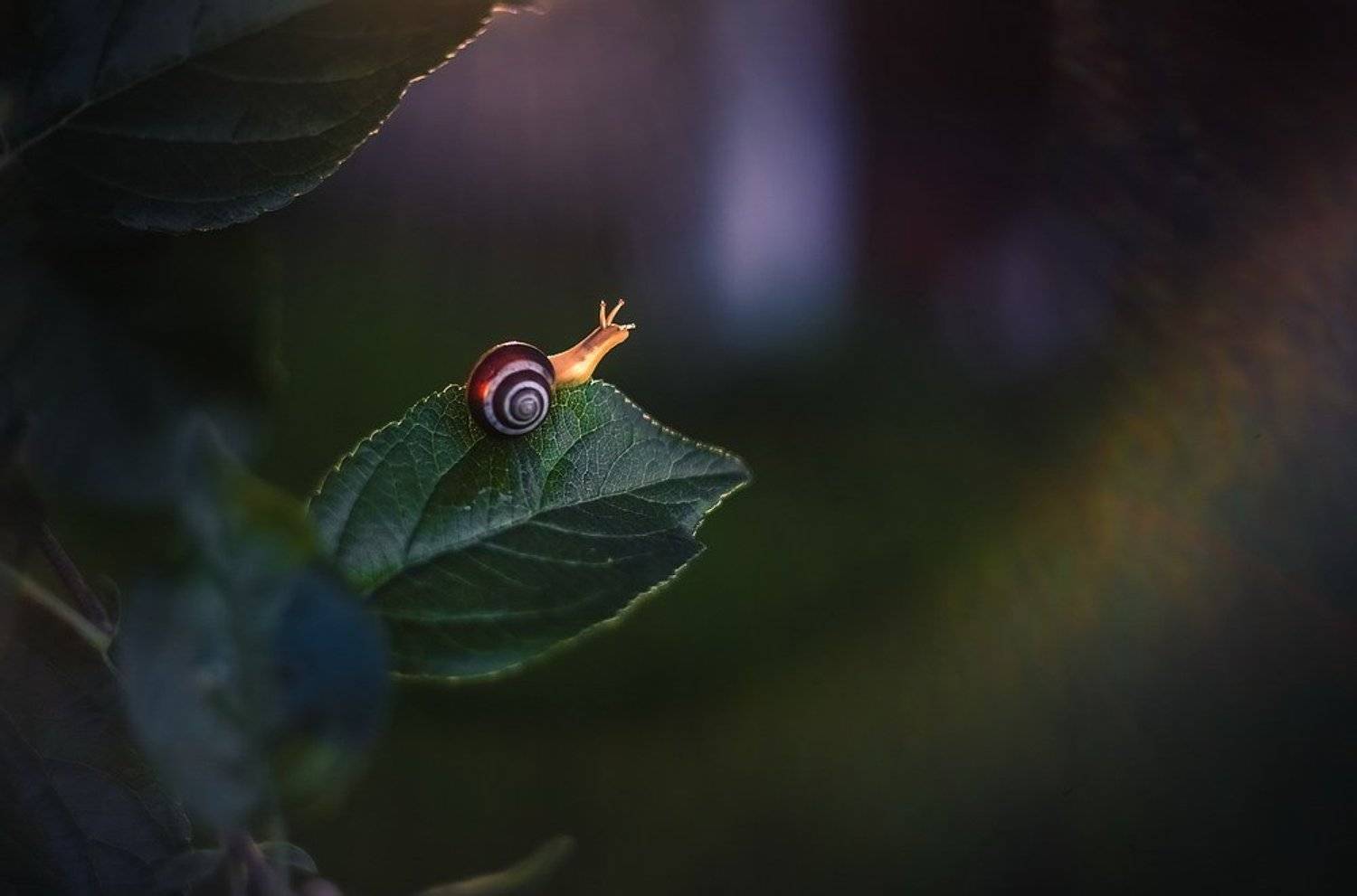 , Вячеслав Мищенко