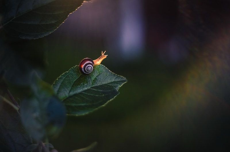 В неизведанные дали фото превью