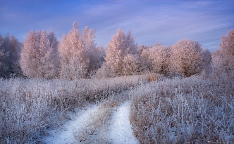 По дороге к Зиме. фото превью