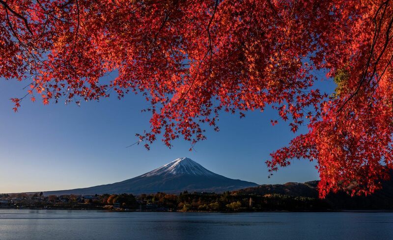 [ The majestic Mt. Fuji of autumn season ]