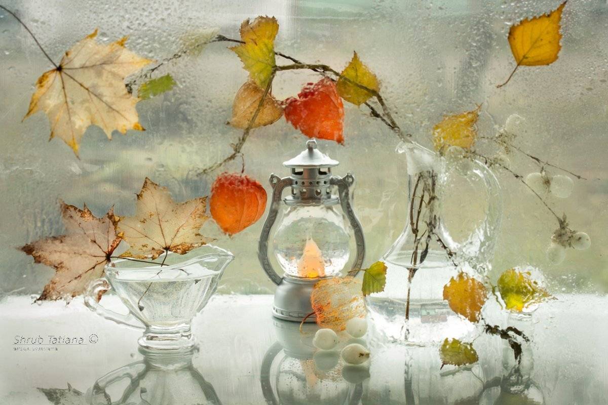 , Шруб (Беляева) Татьяна