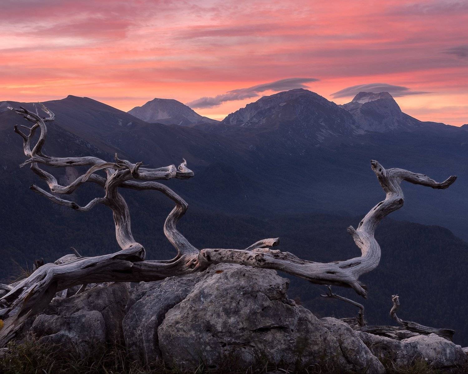 краснодарский край, черногор, фишт, оштен, Евгений Никоненко
