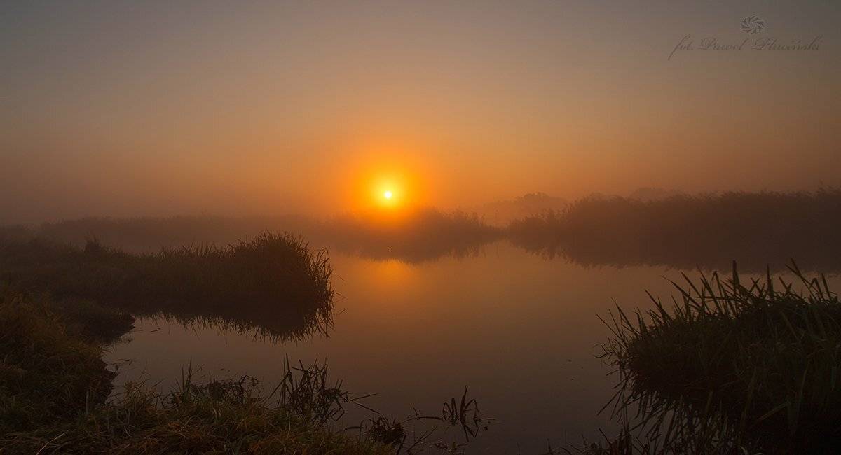 , Pawel Plucinski