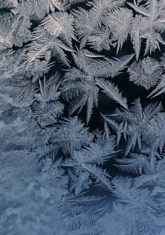 Открытки Деда Мороза фото превью