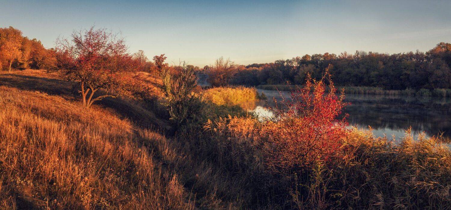 , Игорь Мелекесцев