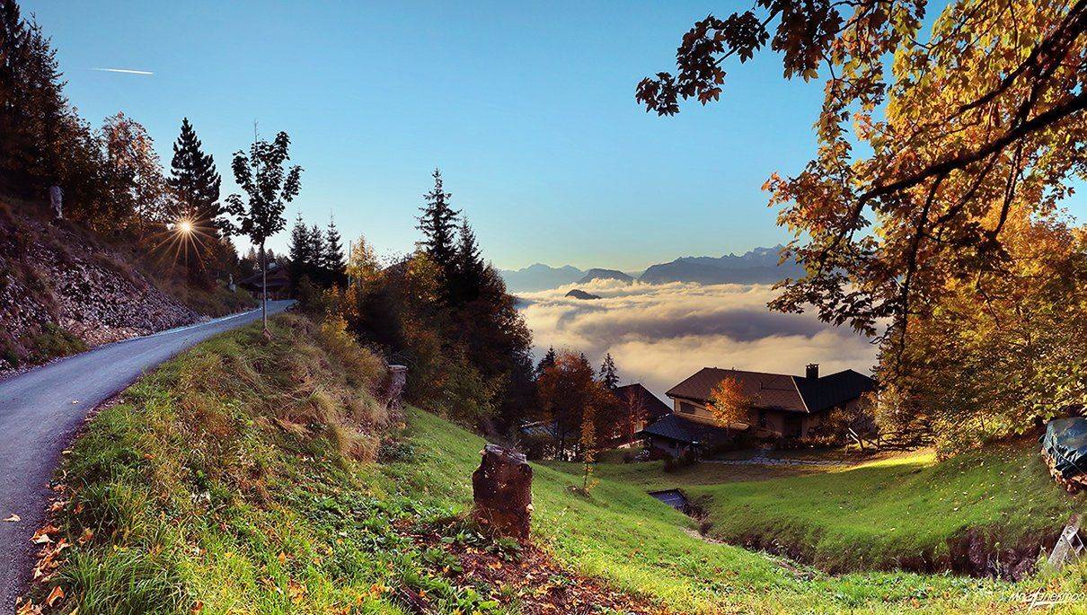 swiss, Матвеев Николай