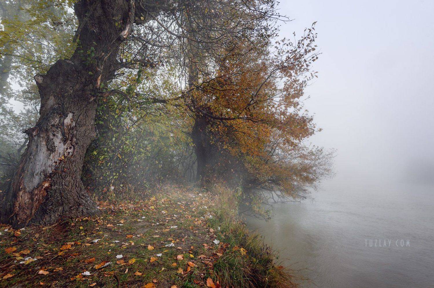 , Владимир Тузлай