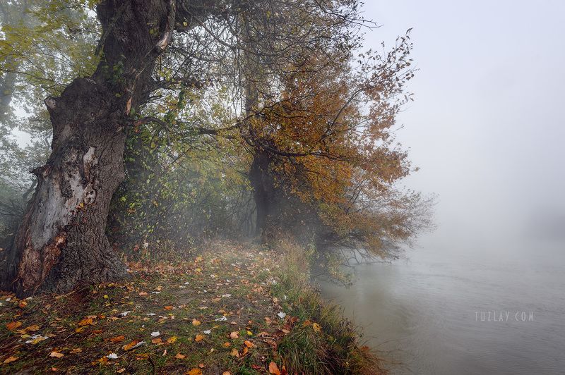 Кубанское ноябрьское 2018 #3 фото превью