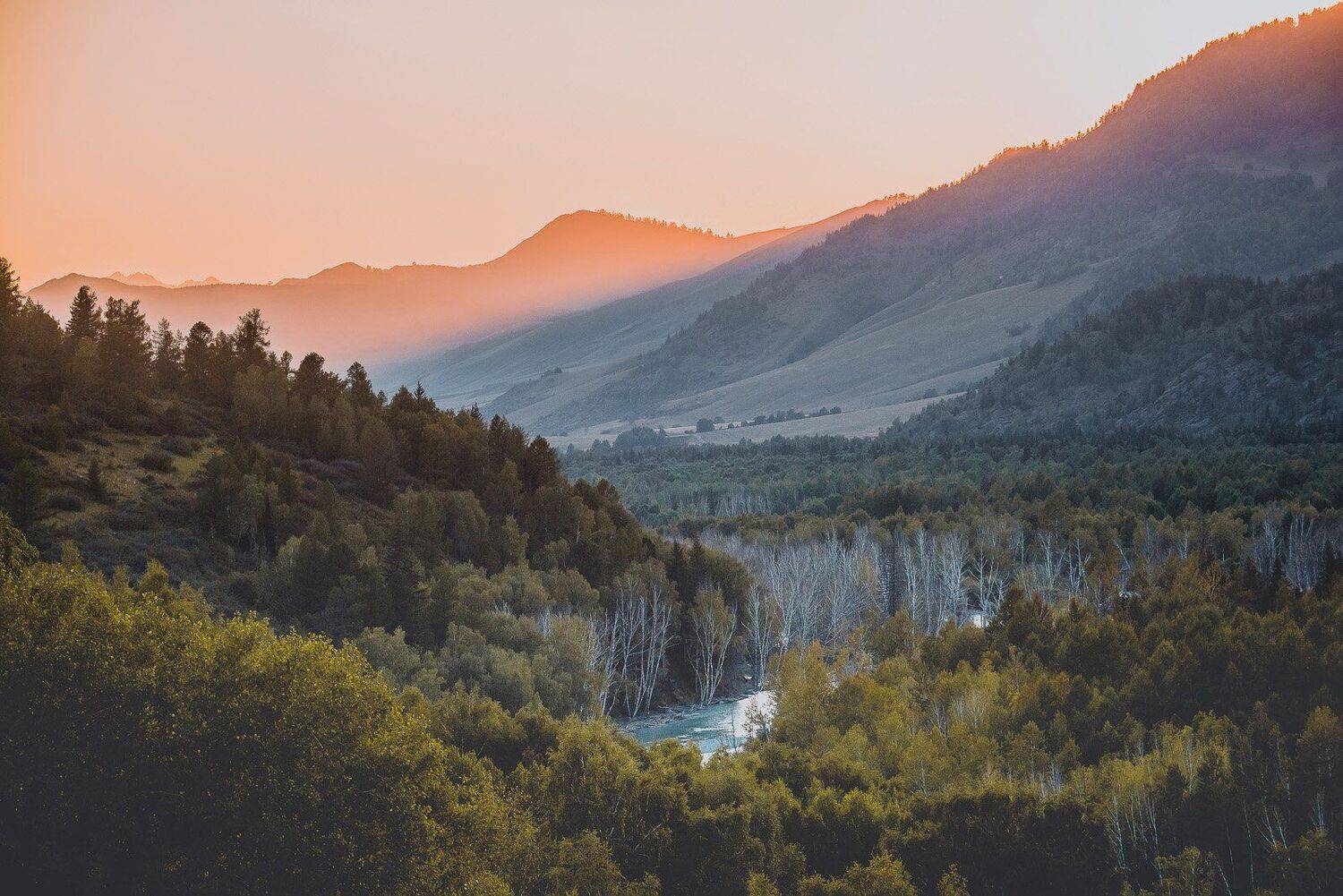 , Илья Афанасьев