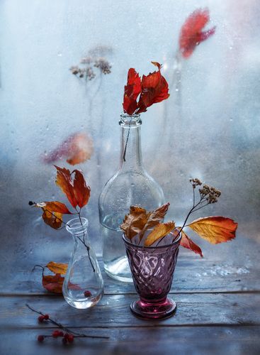 Последние капли осени