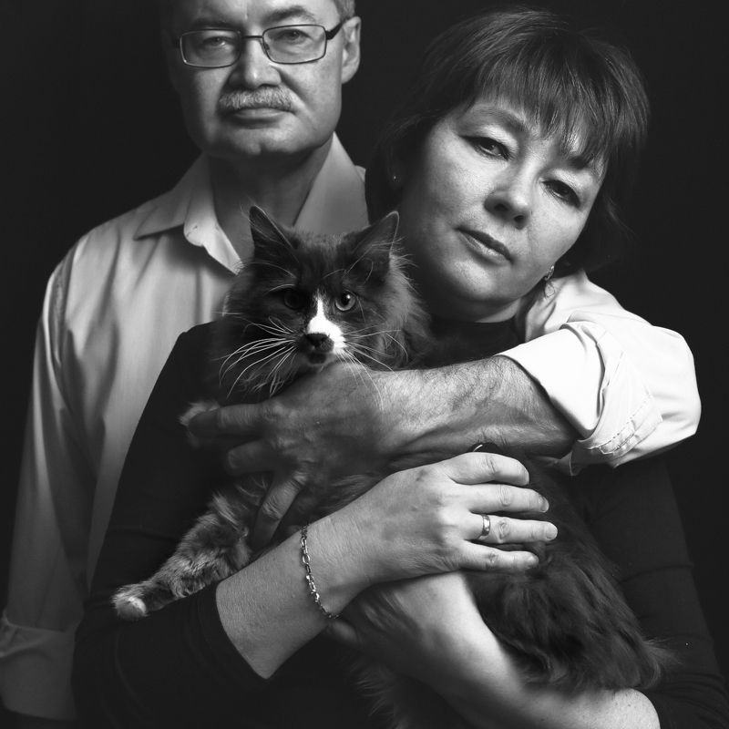 Портрет кота и его окружение фото превью