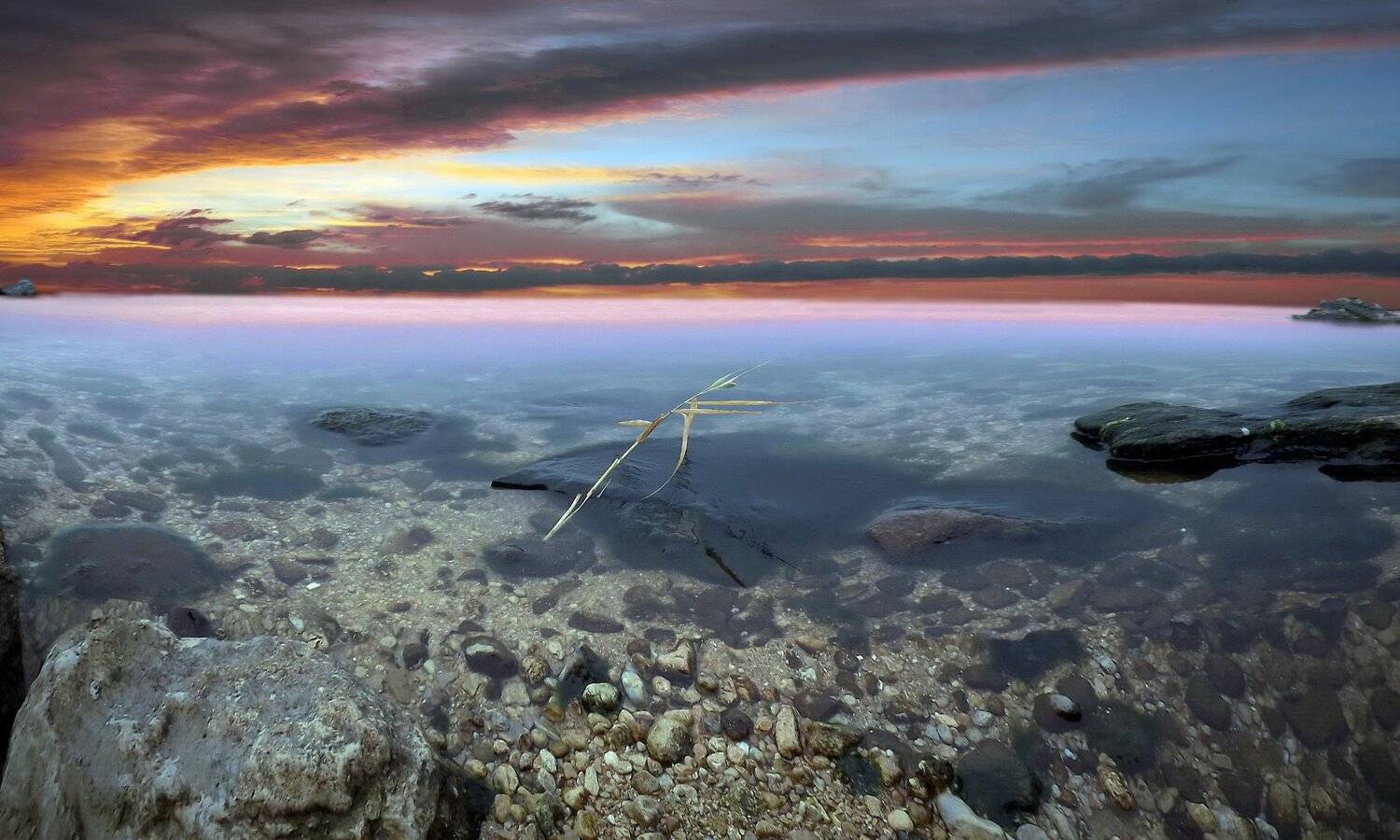 одесса, Сергей Кошелев