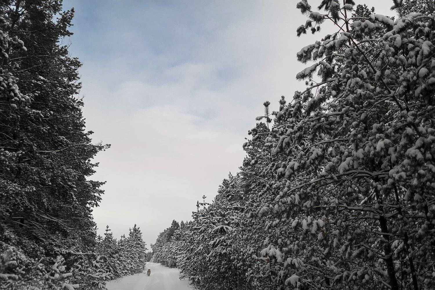 , Ключников Виктор