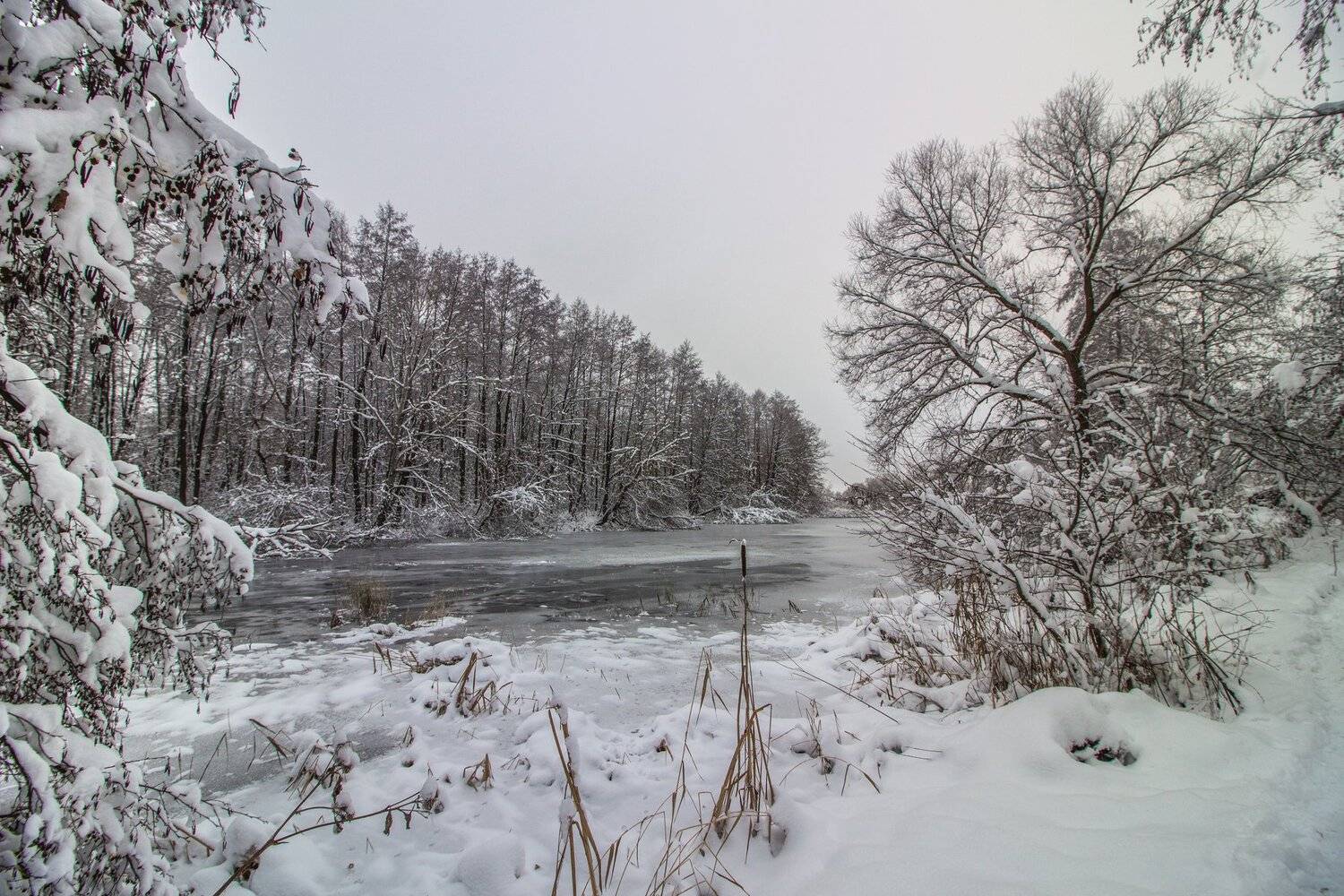 зима, лес, река, озеро, вода, Руслан Востриков