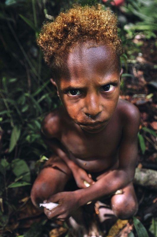 короваи, папуа, джунгли, новаягвинея, портрет, korowai, tribe, papua Дитя джунглей фото превью