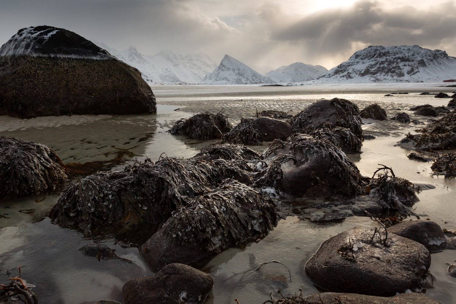 , Ирина Назарова